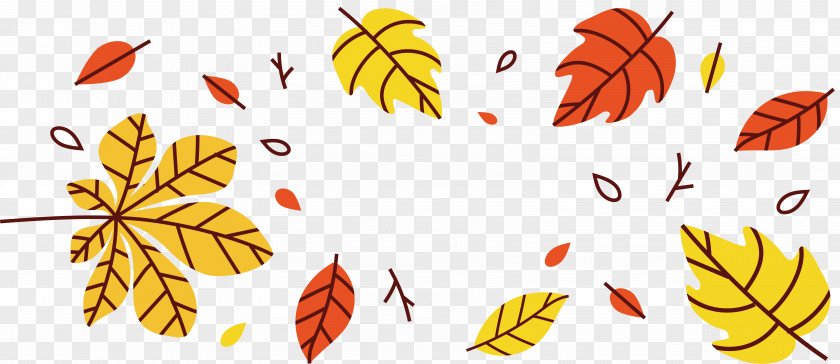 Hand Painted Autumn Leaves Leaf Petal Deciduous PNG