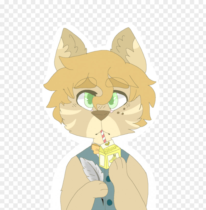 Kitten Whiskers Cat Dog PNG