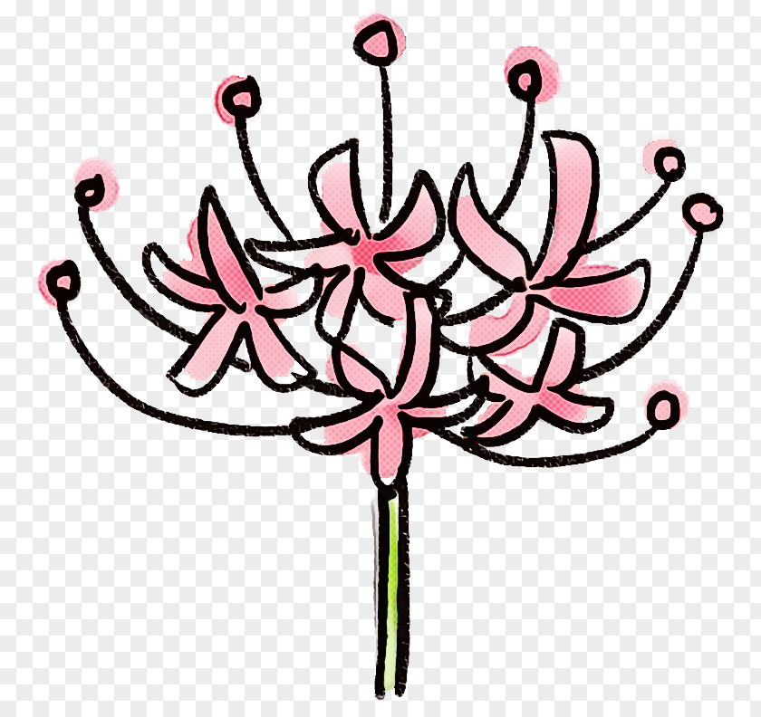 Pink Plant Flower Leaf Pedicel PNG