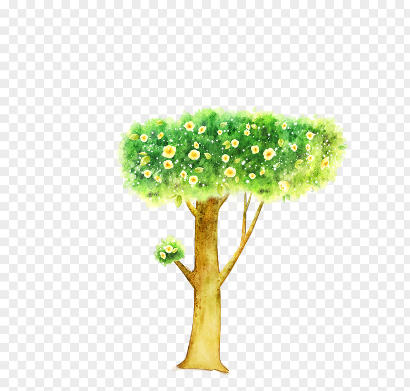 Tree Cartoon Illustration PNG