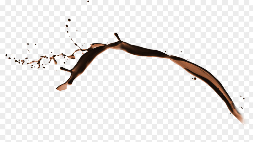 Chocolate Material Free Download PNG