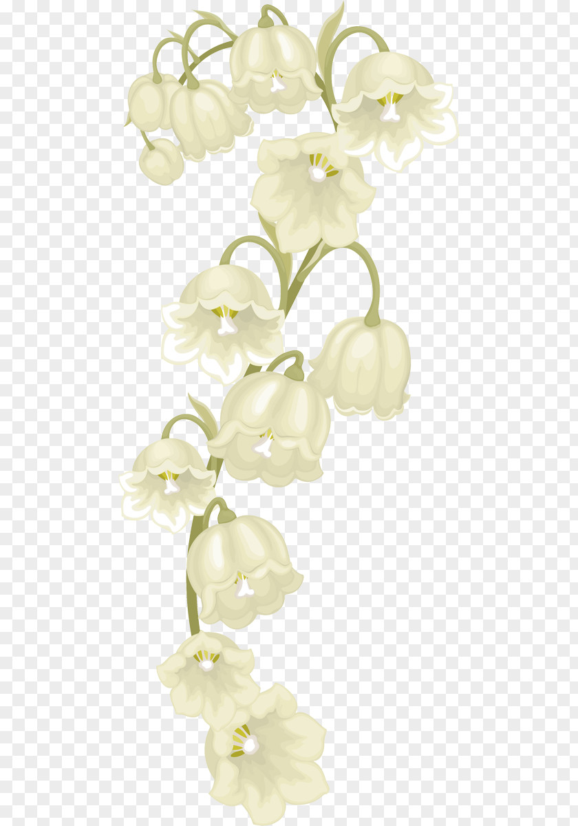 Flower Moth Orchids Floral Design Cut Flowers Dendrobium PNG