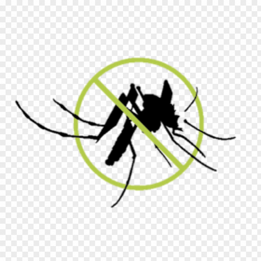 Mosquito Siberian Husky Wool Animal Spinning Insect PNG