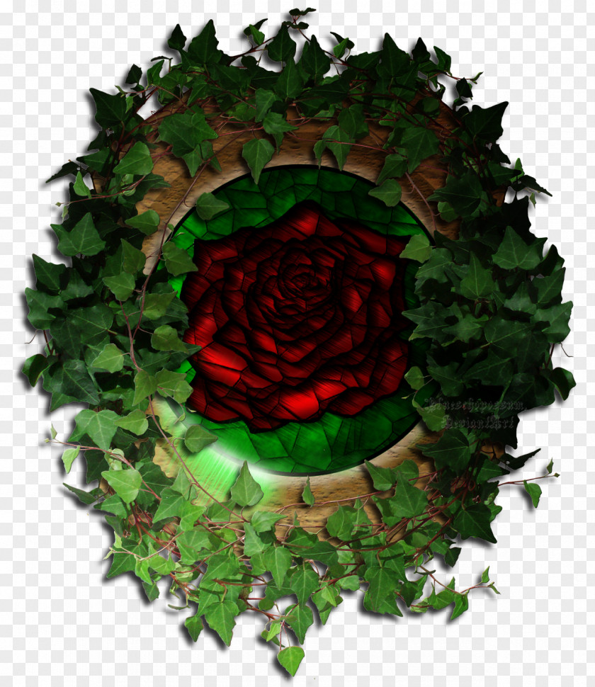 Opossum Garden Roses DeviantArt Artist PNG