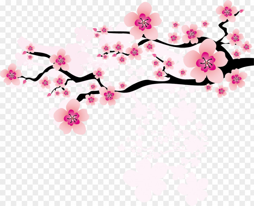 Pink Snow Plum Vector Material National Flower Of The Republic China Blossom Clip Art PNG
