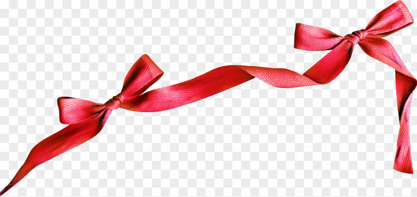 Ribbon Gift Red Sash PNG