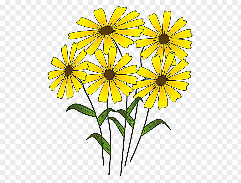 Sunflower Daisy Family Drawing Of PNG