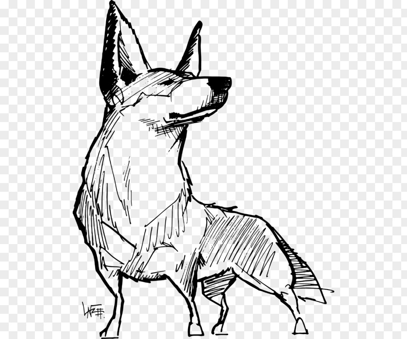 Tail Blackandwhite Dog Drawing PNG