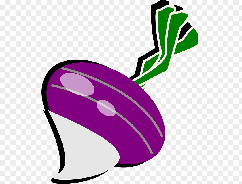 Turnip The Gigantic Vegetable Clip Art PNG