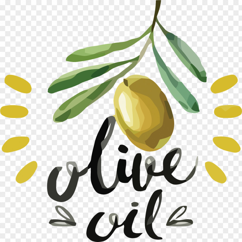 Vector Creative Hand-painted Green Olives Olive Oil PNG