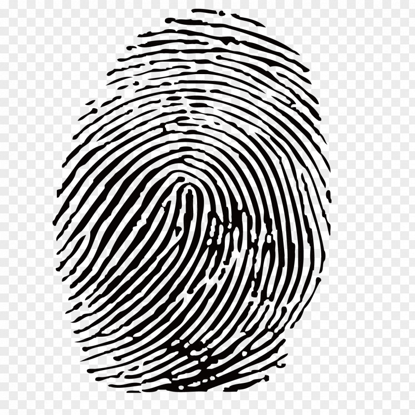 Vector Graphics Fingerprint Royalty-free Illustration Clip Art PNG