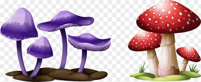 Vector Painted Mushrooms Mushroom Festival Drawing Illustration PNG