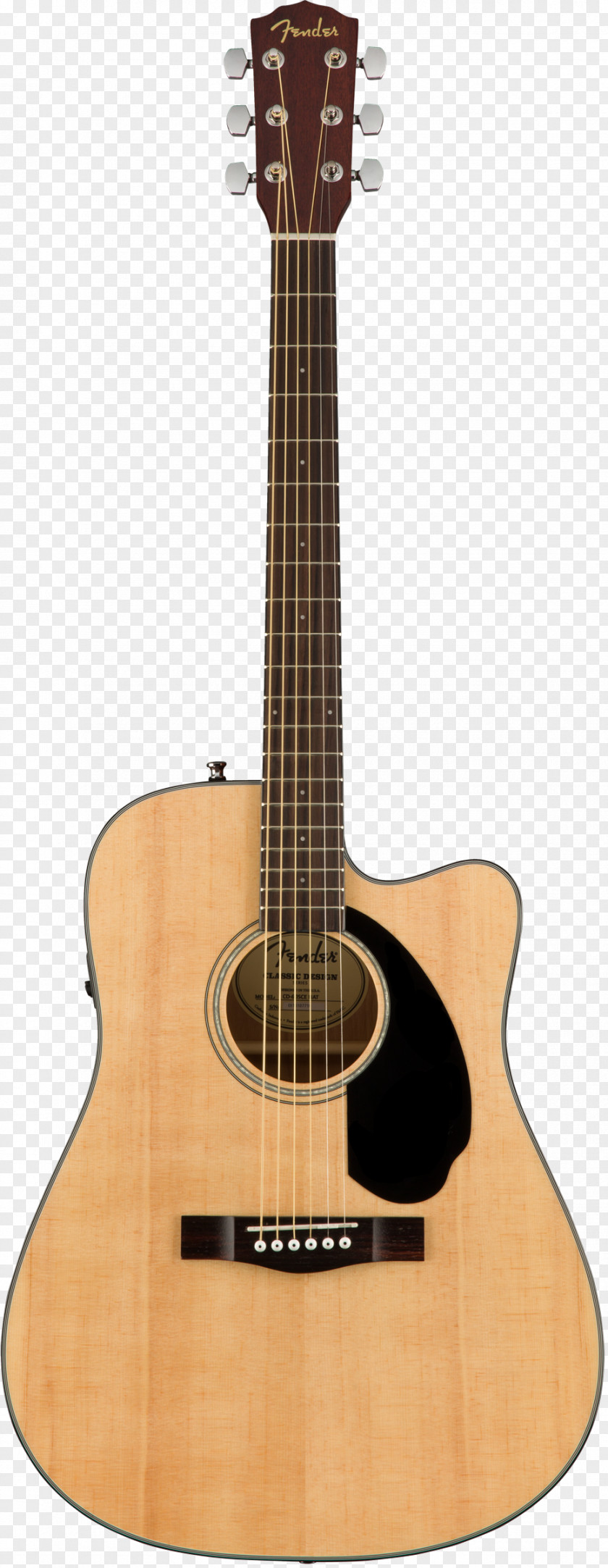 Acoustic Guitar Twelve-string Steel-string Acoustic-electric PNG