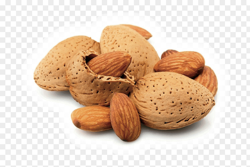 Almond Nut Food Eating Flavor PNG