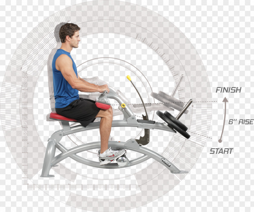 Bodybuilding Exercise Machine Fitness Centre Weight Training Squat Deadlift PNG