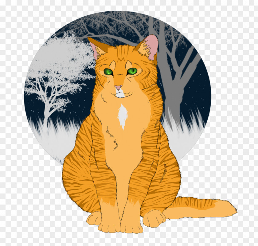 Cat Whiskers Tabby Illustration Cartoon PNG
