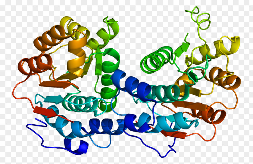 Initiation Factor EIF4A1 EIF4E Chemistry Delft PNG