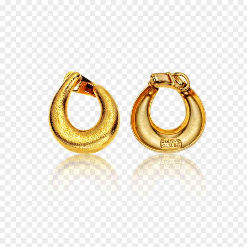 Jewellery Earring Body 01504 PNG