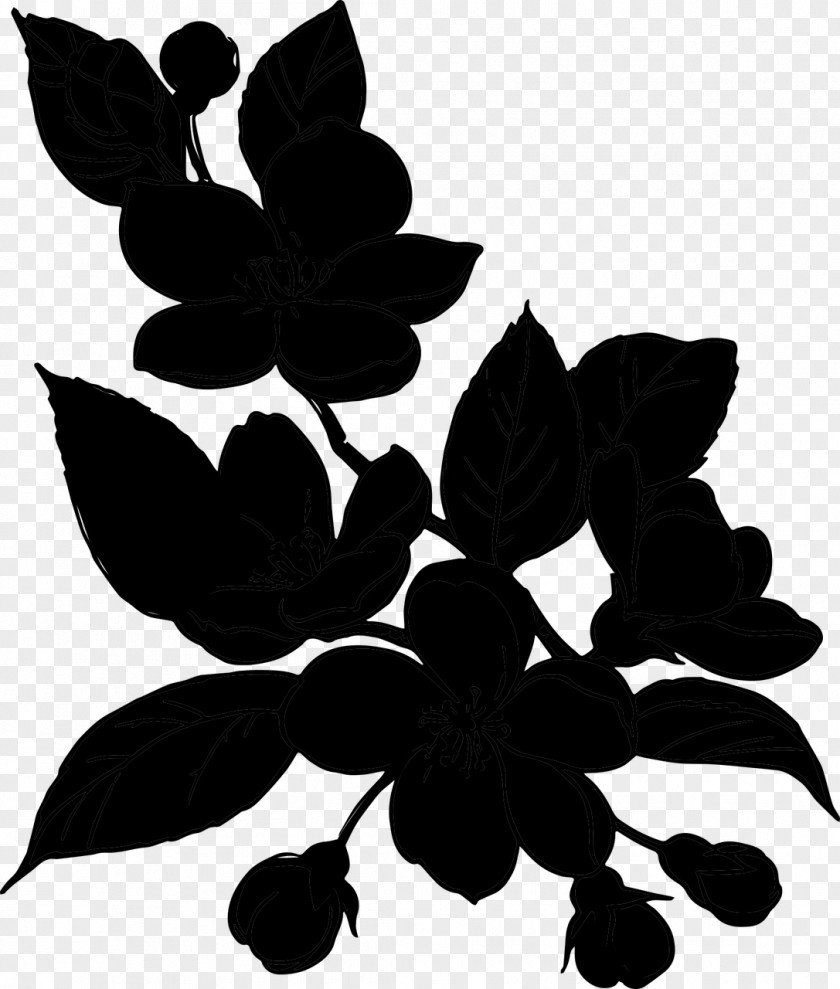 Pattern Silhouette Leaf Flowering Plant Plants PNG