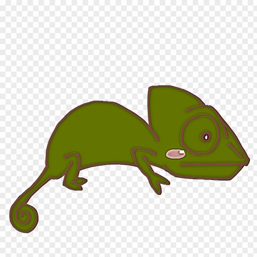 Reptiles Frogs Line Art Cartoon Tree Frog PNG