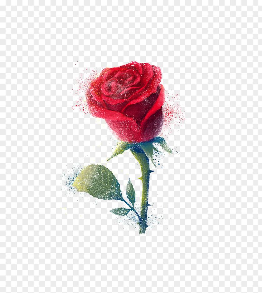 Rose Beach Android Samsung Galaxy Note PNG