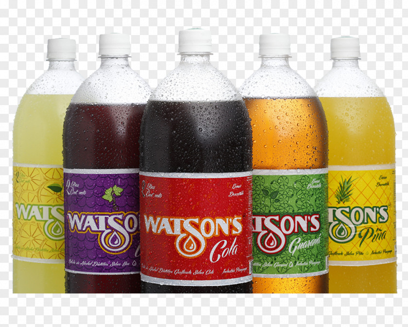 Bottle Fizzy Drinks Juice Mineral Water PNG