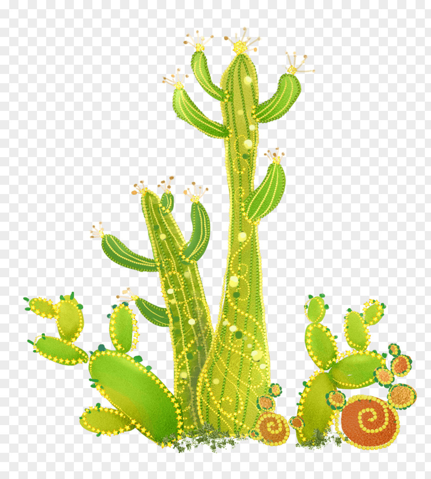 Cactus Image Cartoon Drawing PNG