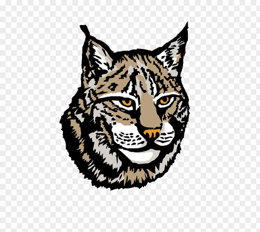 Canada Lynx Clip Art PNG