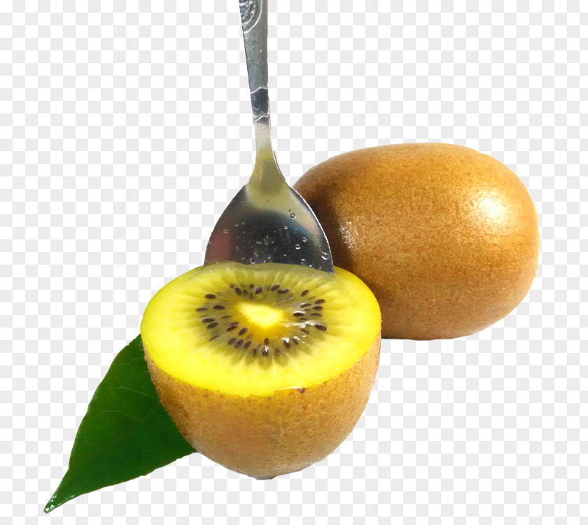 Kiwi Kiwifruit Icon PNG