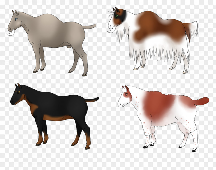 Mustang Cattle Goat Pack Animal Freikörperkultur PNG