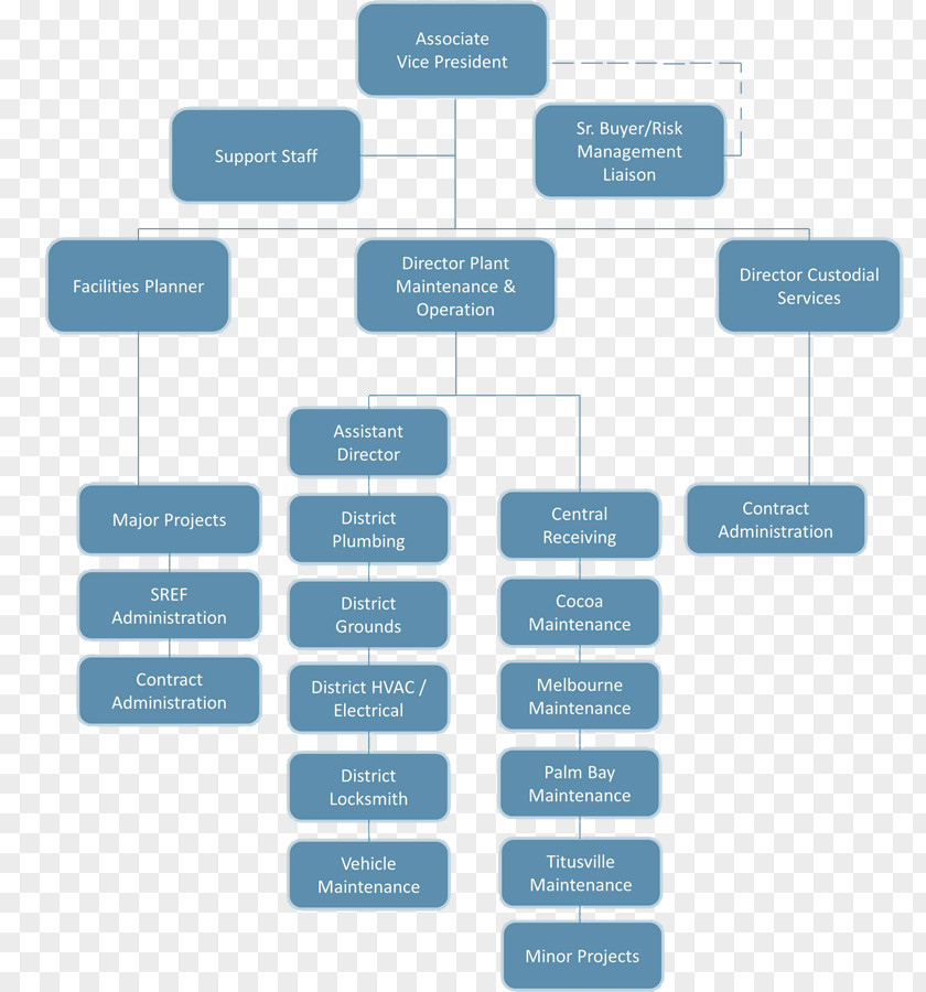 Organization Chart Organizational Diagram Structure PNG