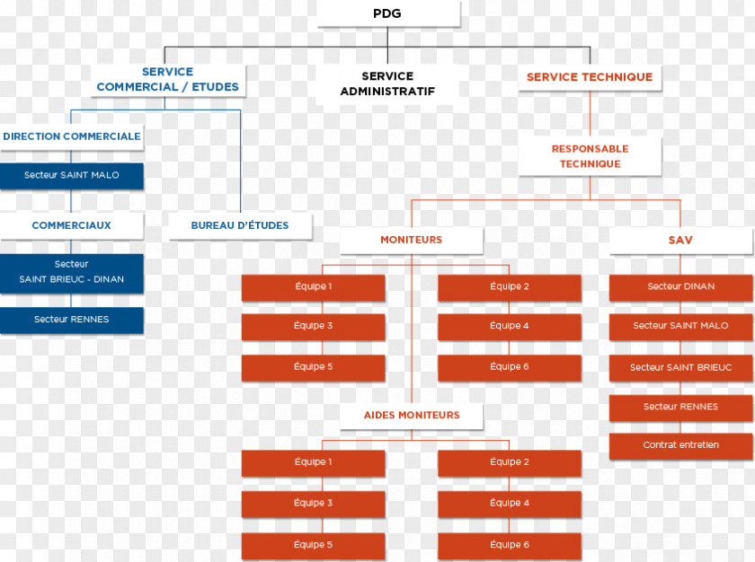 Organizational Chart Afacere Diagram Saint-Brieuc PNG