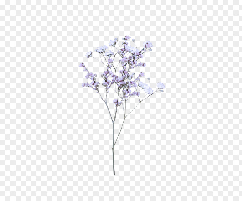 Tree Lilac Branch Plant Leaf PNG