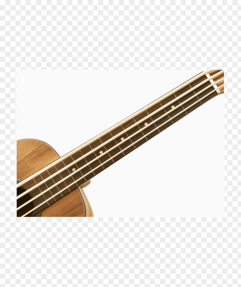 Bass Guitar Acoustic Cuatro Tiple Acoustic-electric PNG