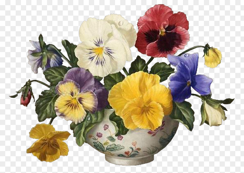 Flower Pansy Cut Flowers Violet Clip Art PNG