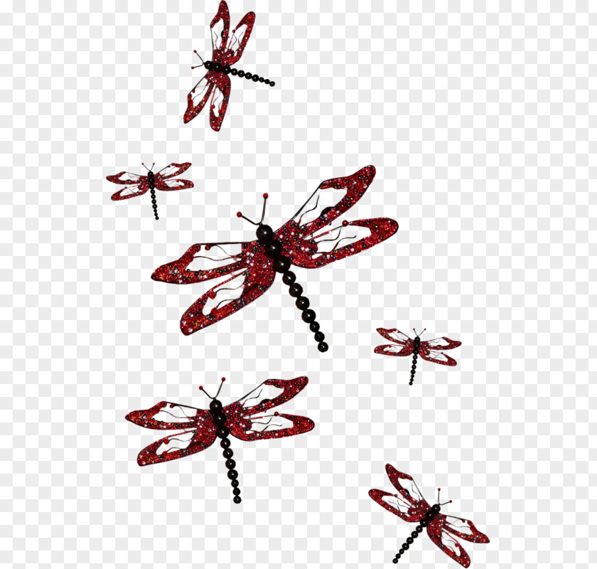 Hand-painted Dragonfly Insect Google Images PNG