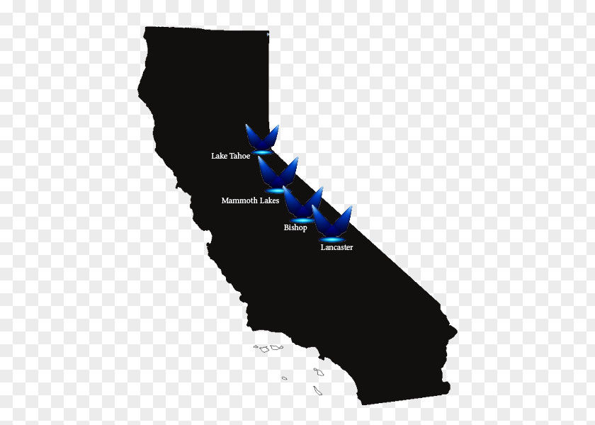 Map California Vector PNG