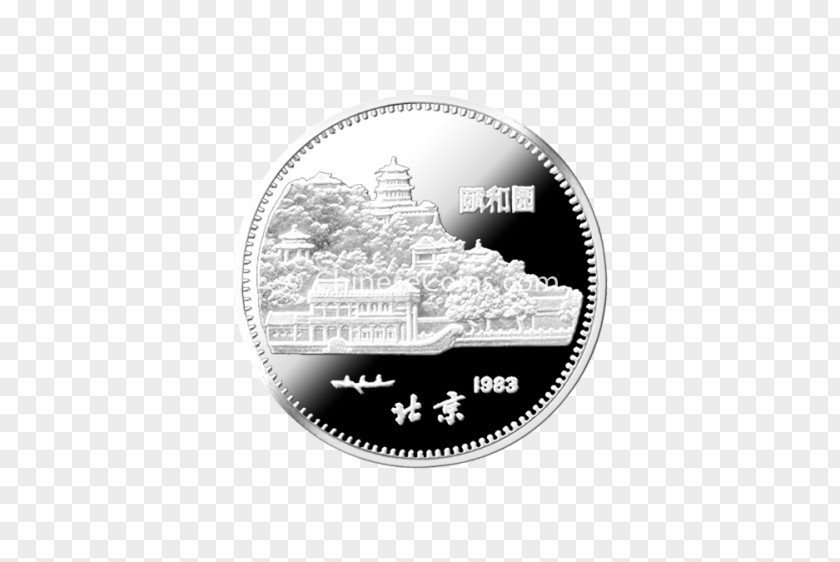 Pig Chinese Coin Silver White Font PNG
