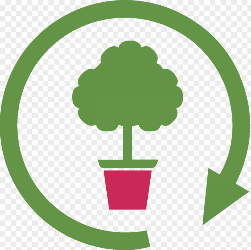 Plant Cycle CasaOggiServizi Roma Tree Tilia Cordata Soil Cleaning PNG
