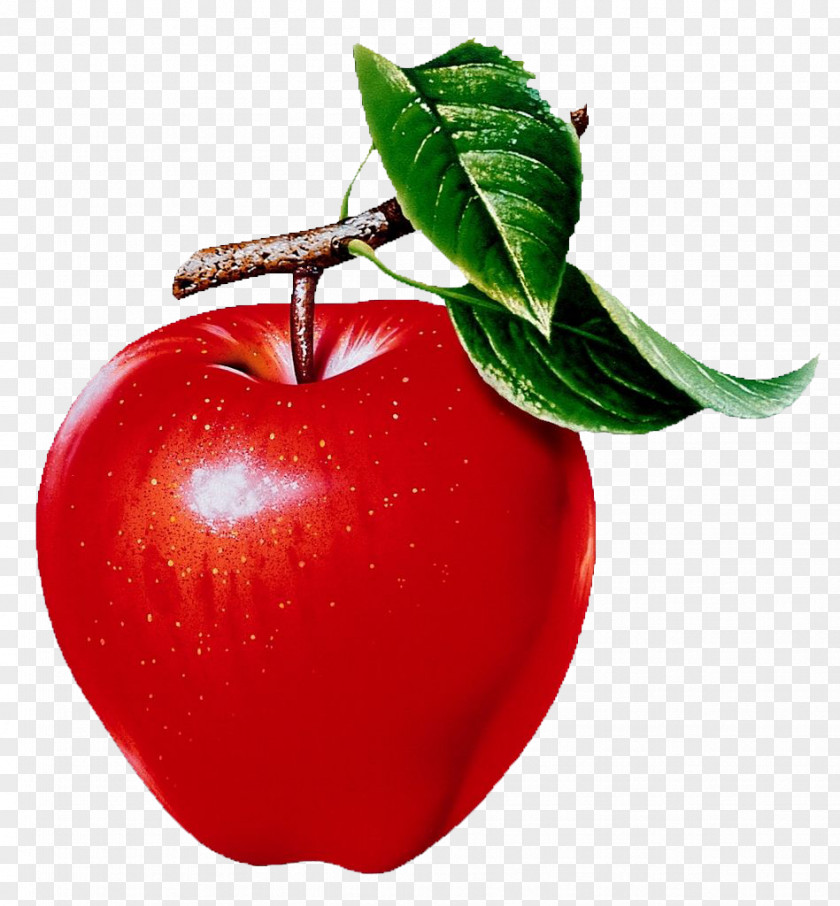 Apple Fruit Pixe;ated Pie Red Delicious Food PNG