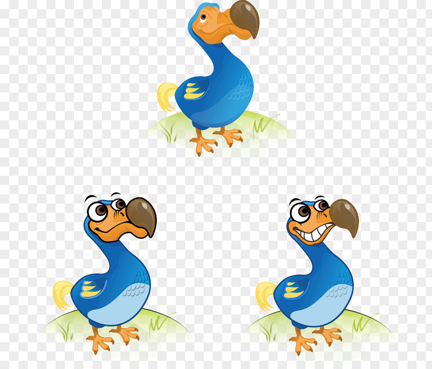 Creative Illustrations Duck Bird Dodo Cygnini Goose PNG