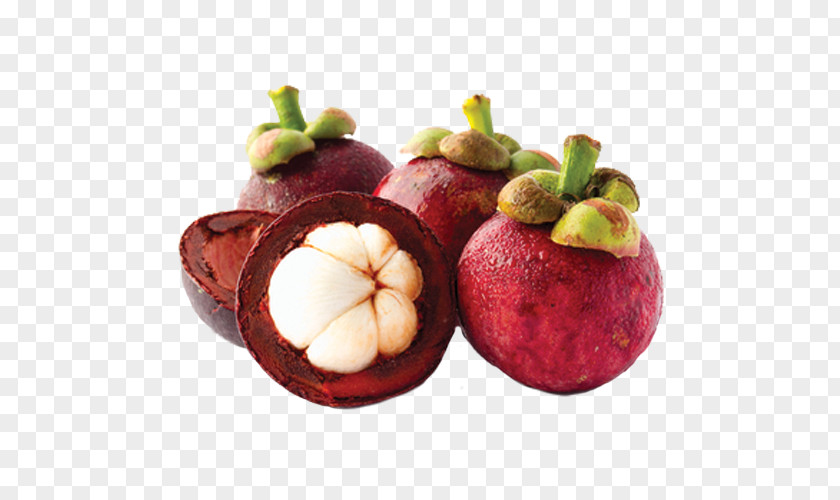 Health Purple Mangosteen Kulit Manggis Nutrient Herb PNG