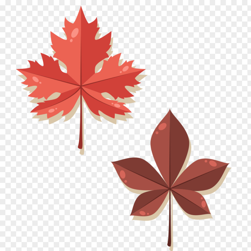Leaves Maple Leaf Autumn PNG