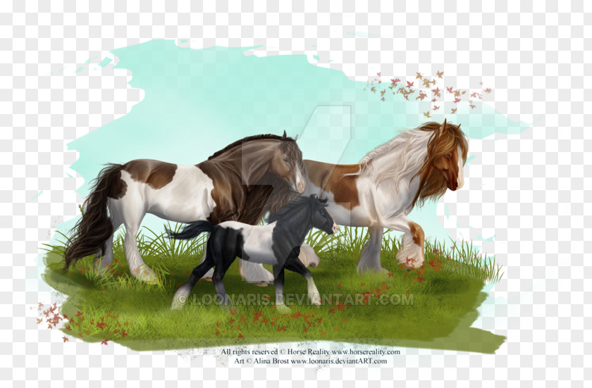 Mustang Gypsy Horse Mane Stallion Mare PNG