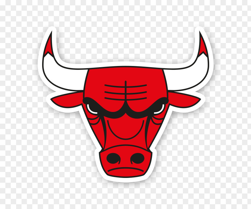 Orlando Magic Chicago Bulls Portland Trail Blazers Basketball PNG