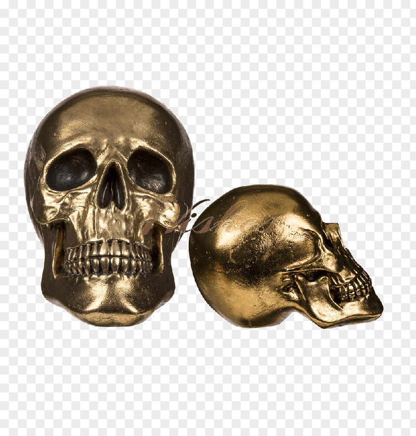Skull Totenkopf Polyresin Ornament Sculpture PNG