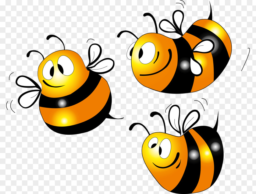 Bee Western Honey Clip Art Vector Graphics PNG