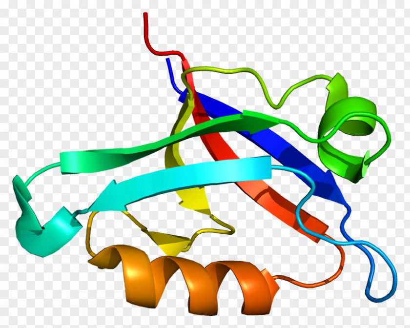 GOPC Protein PDZ Domain CSPG5 Nest PNG