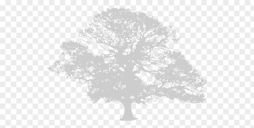 Gray Tree The Europa World Of Learning 2018 Book Training PNG