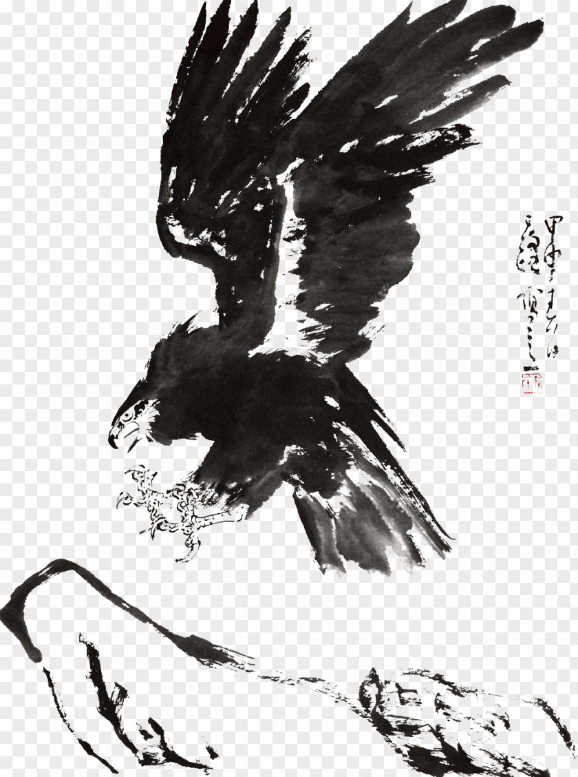 Ink Decoration Eagle Hawk PNG